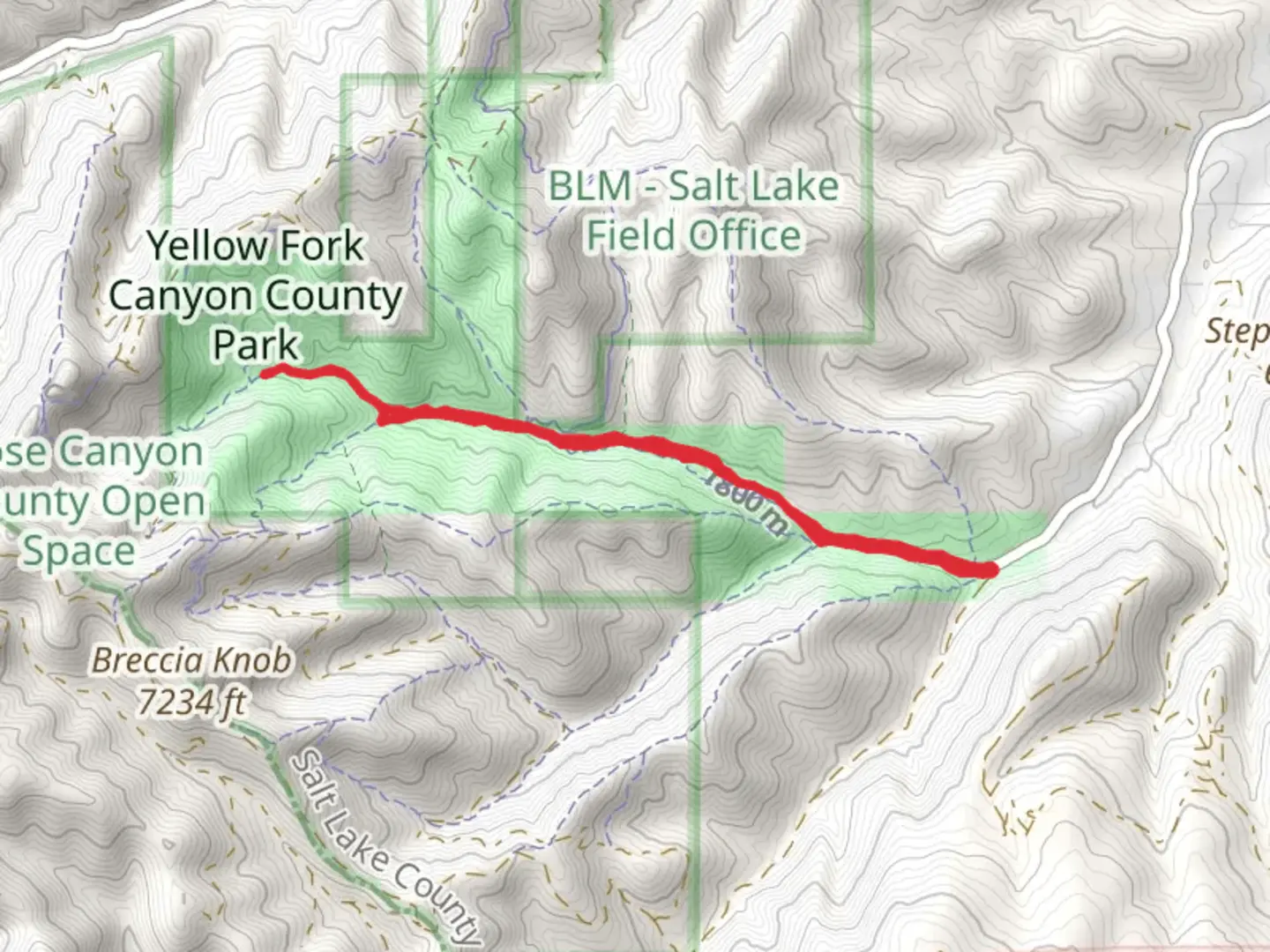 An image depicting the trail Yellow Fork Trail and its surrounding area.