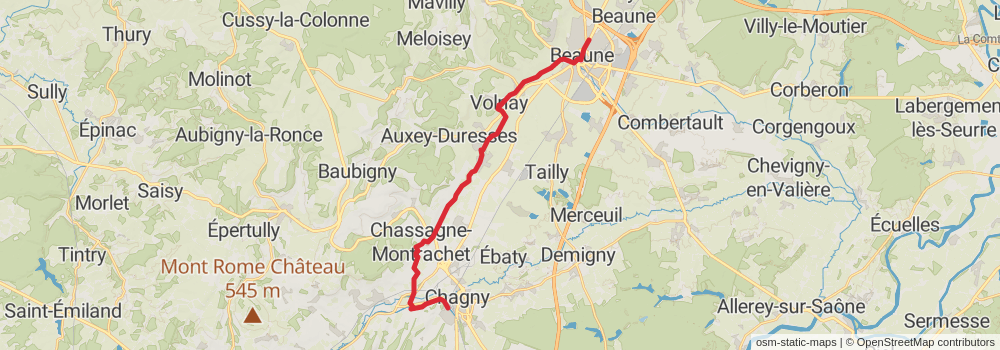 Camino Strasbourg-Saint Jean Pied de Port via Le Puy stage 25 Map