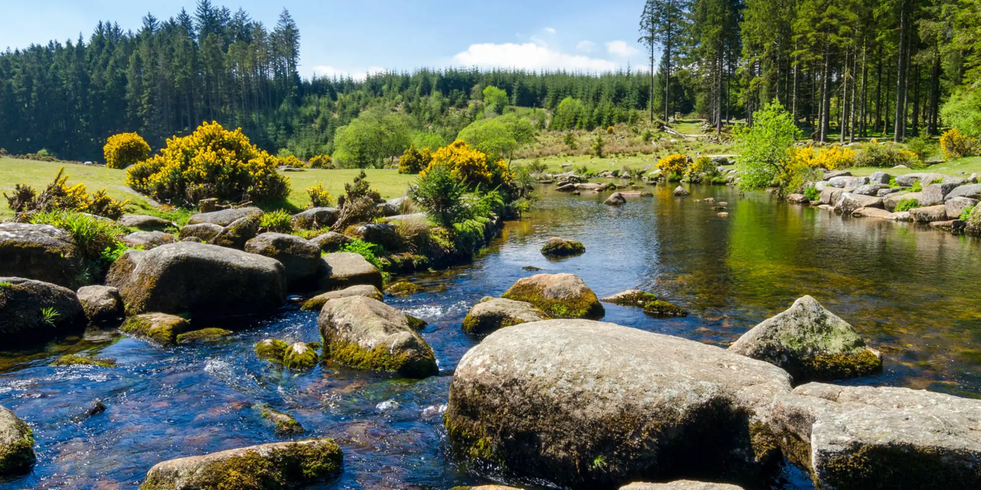 An image depicting the trail North Moor Crossing from Okehampton to Bellever and its surrounding area.