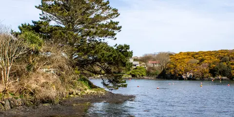 An image depicting the trail Fastnet Trails - Goleen to Toormore Trail and its surrounding area.