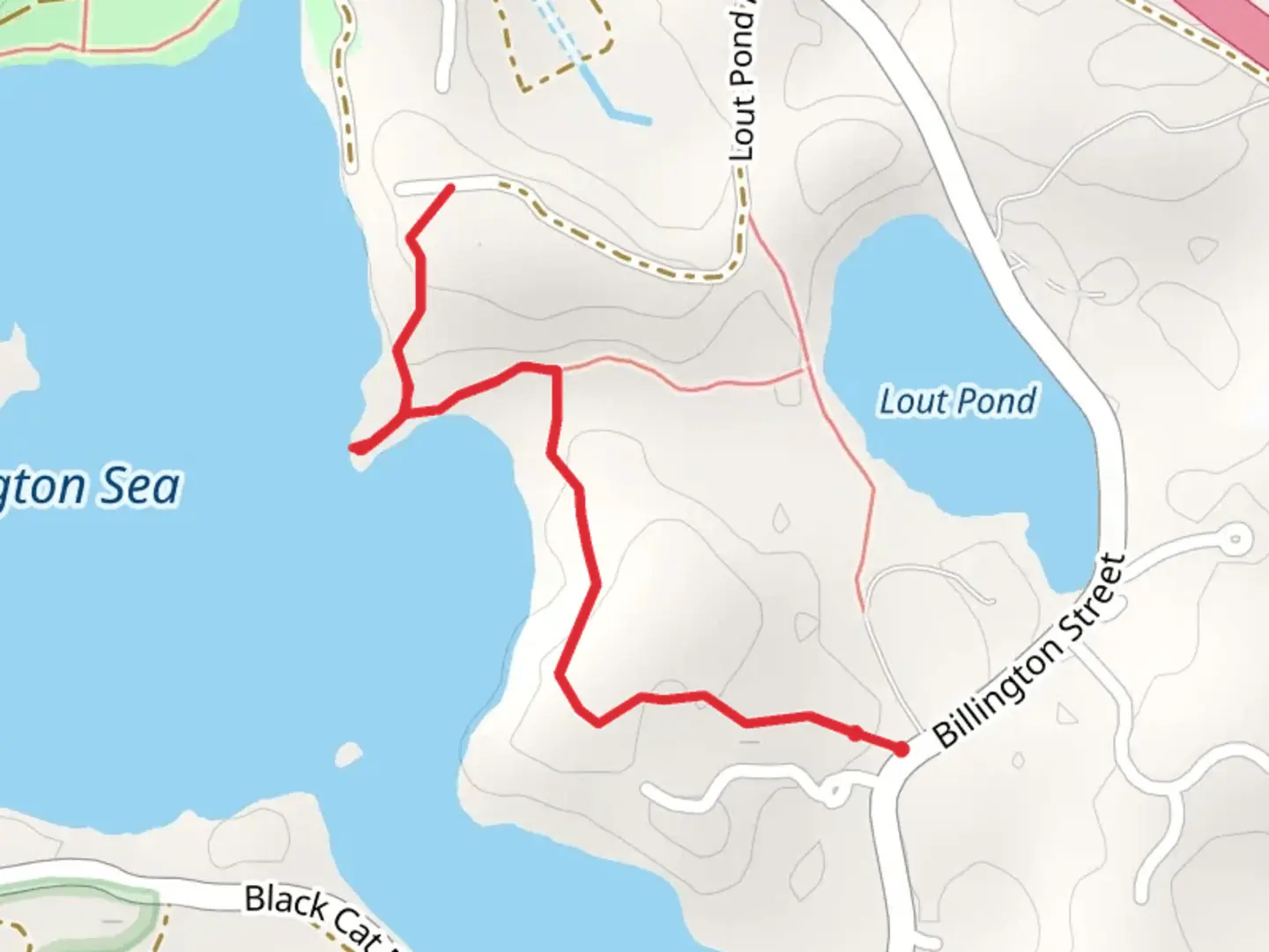 An image depicting the trail Billington Street via Billington Sea Trail and its surrounding area.