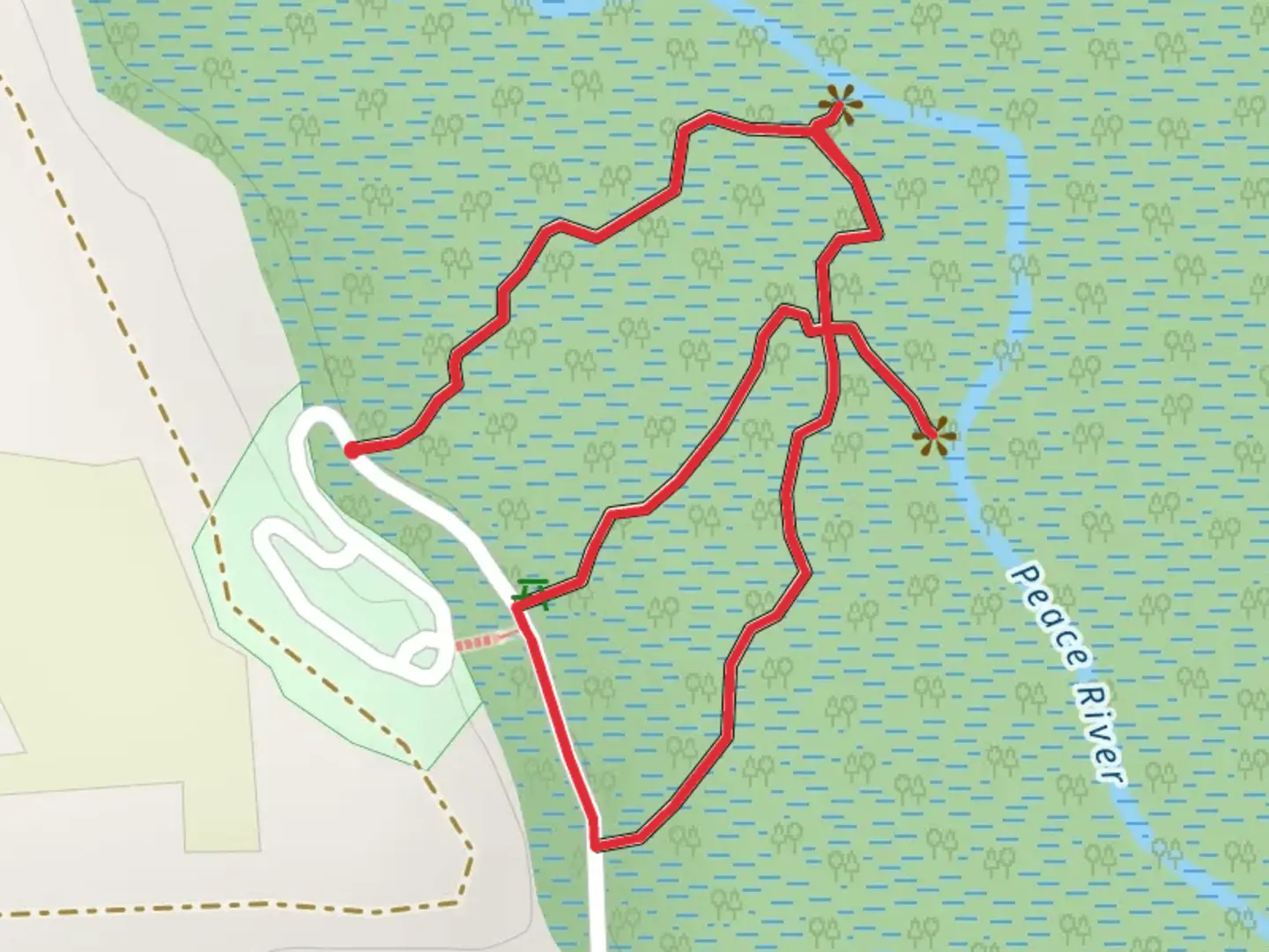 An image depicting the trail Loop beside Peace River and its surrounding area.
