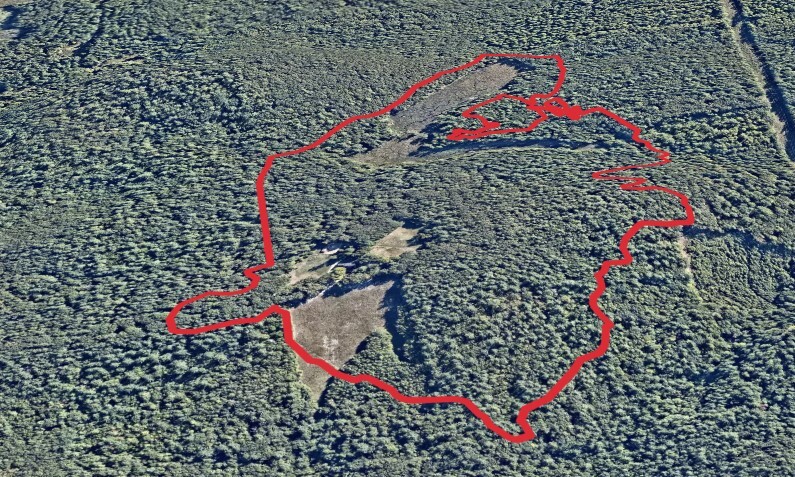 Silverfish Loop Trail