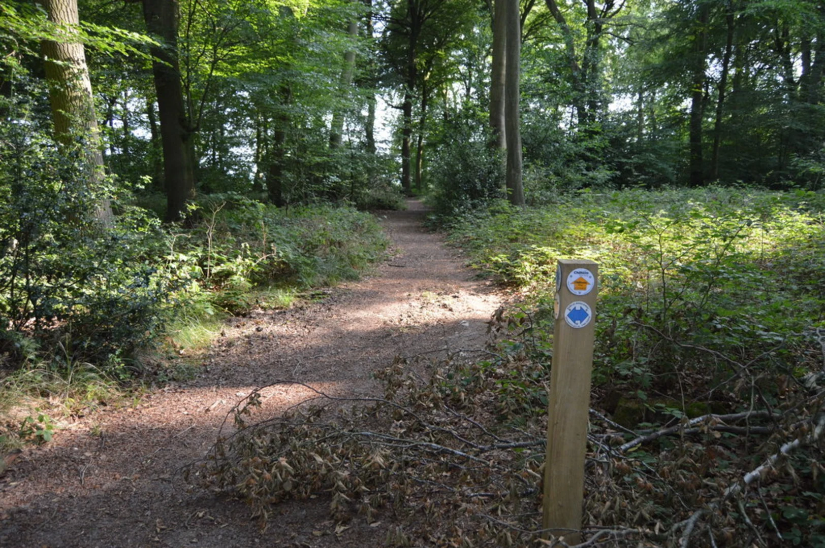 An image depicting the trail Henley via Stonor Circular Walk and its surrounding area.