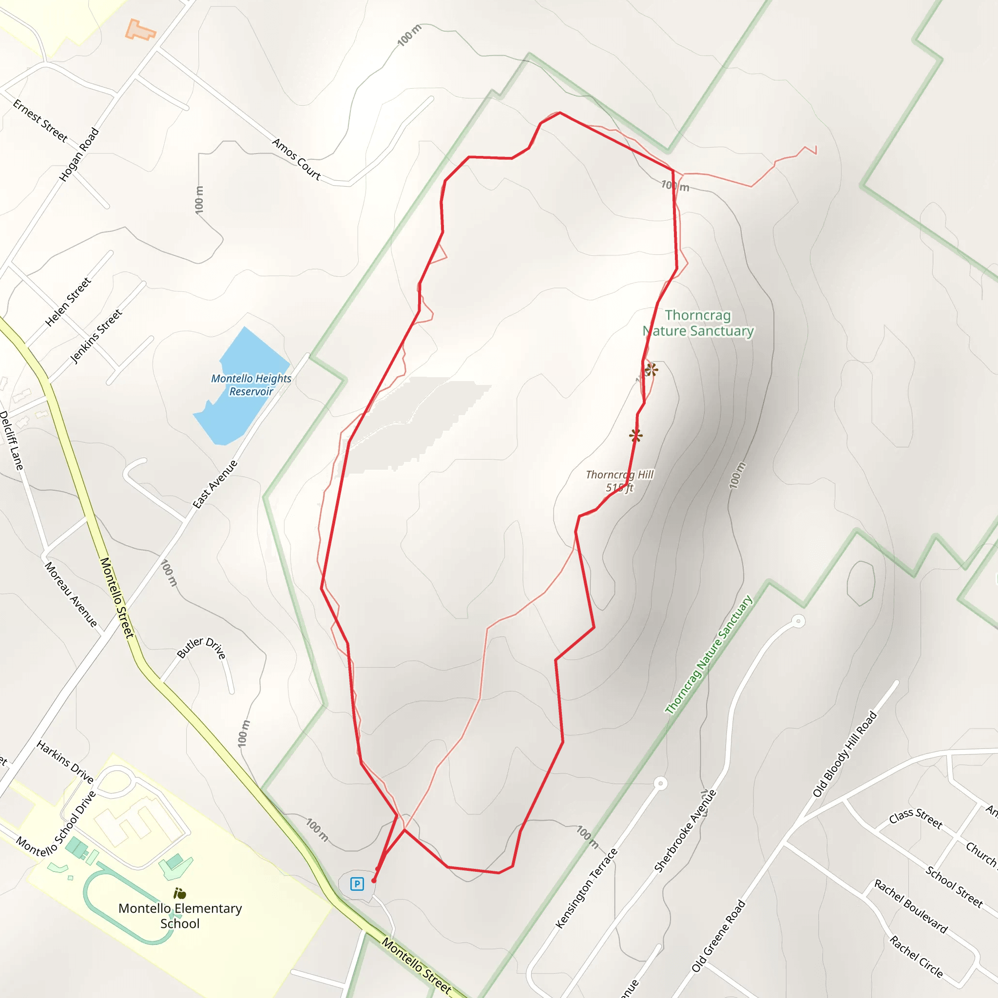 Thorncrag Hill Loop Trail mobile static map