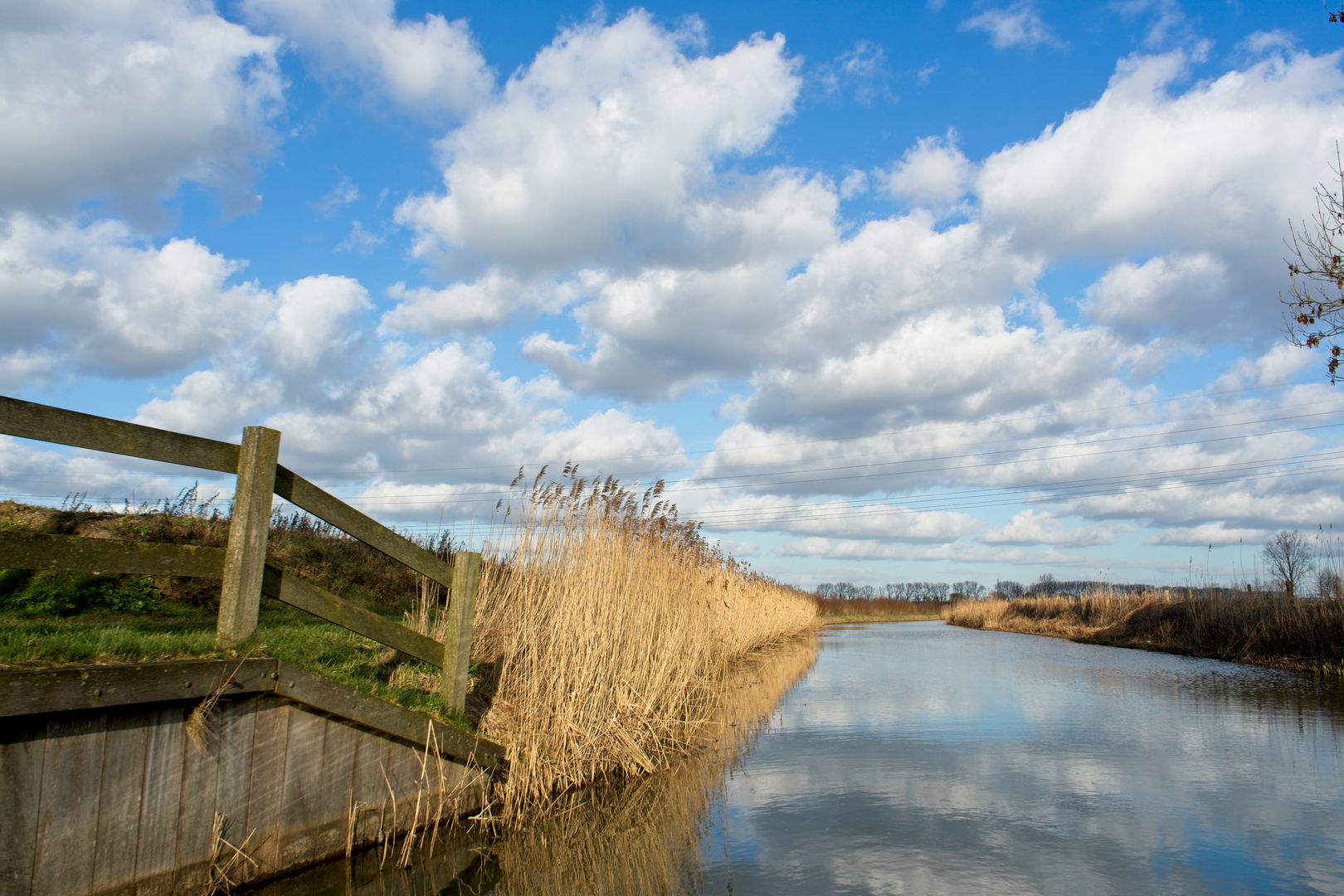 An image depicting the trail Veenendaal to Rhenen via Bisschop Davidsgrift and Cuneralaan and its surrounding area.