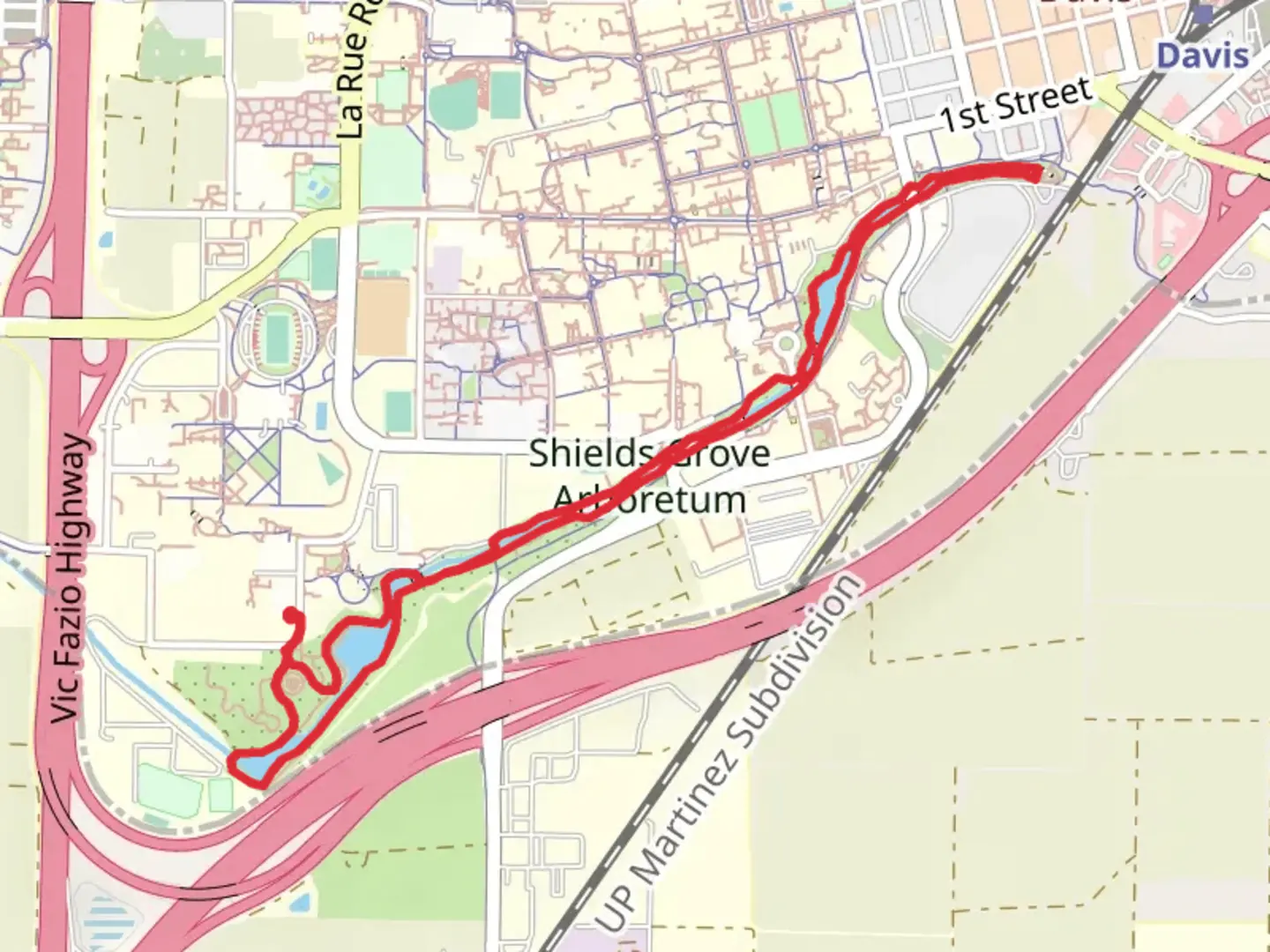 An image depicting the trail Shields Grove Arboretum Loop and its surrounding area.