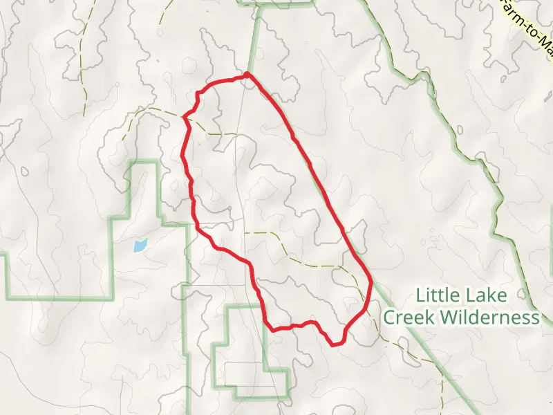 Little Lake Creek - Sand Branch - Lone Star Hiking Loop Trail