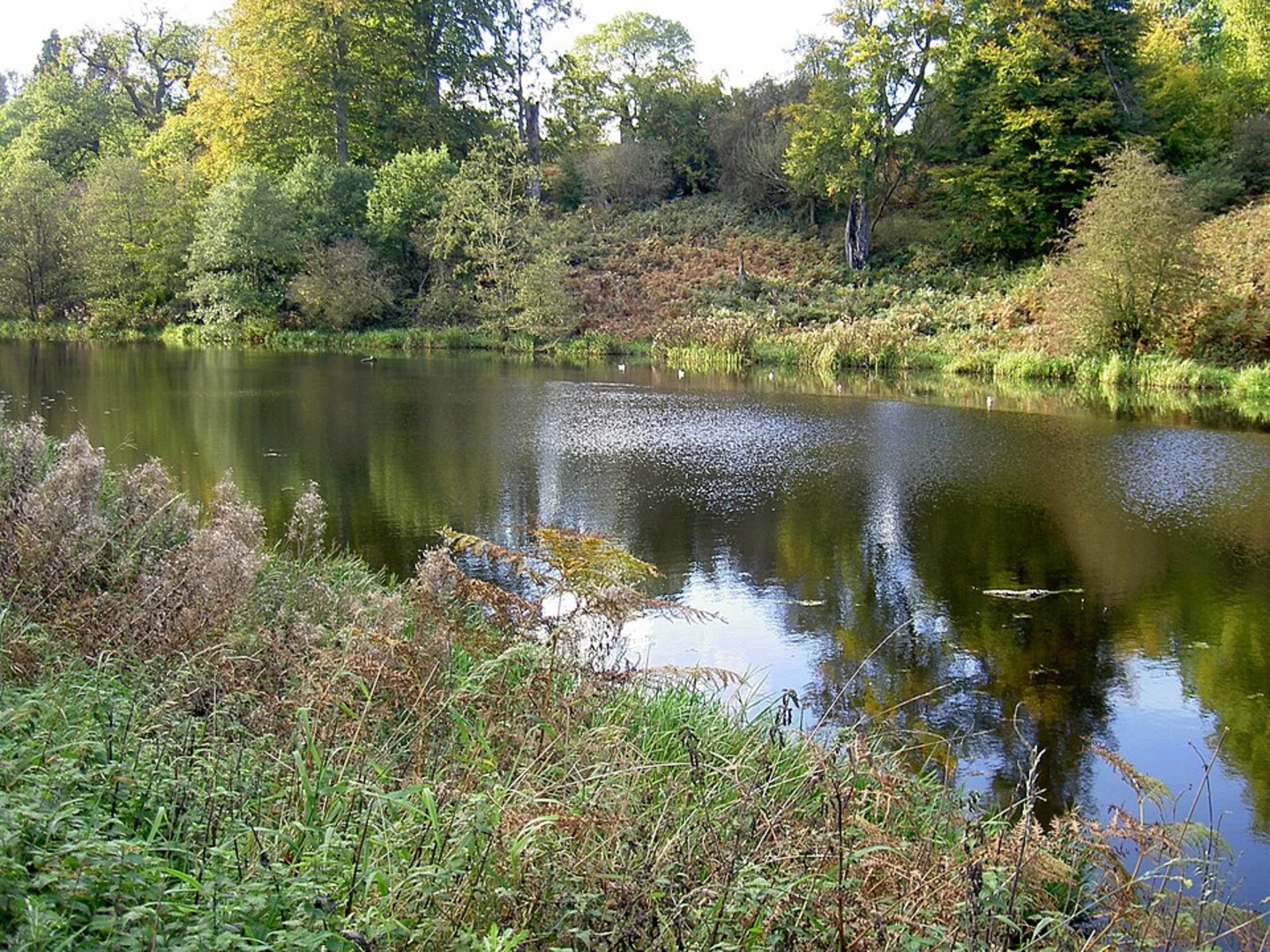 An image depicting the trail National Trust - Calke Abbey Loop and its surrounding area.