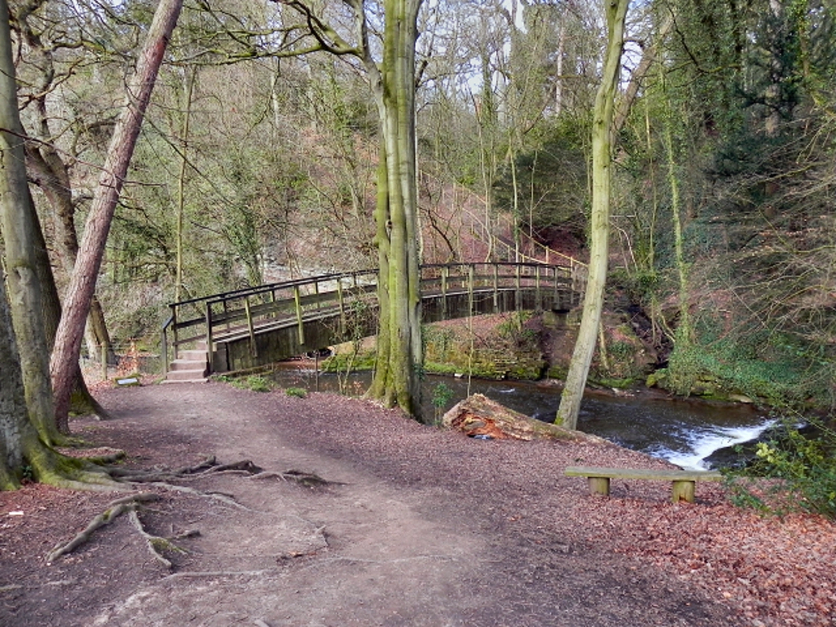 River Bollin and Northern Wood Loop