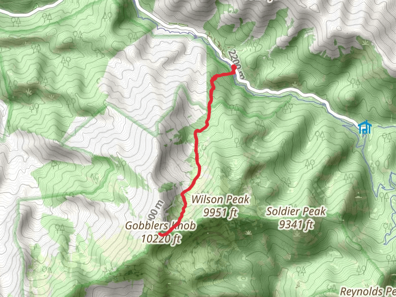 Gobblers Knob via Alexander Basin Trail