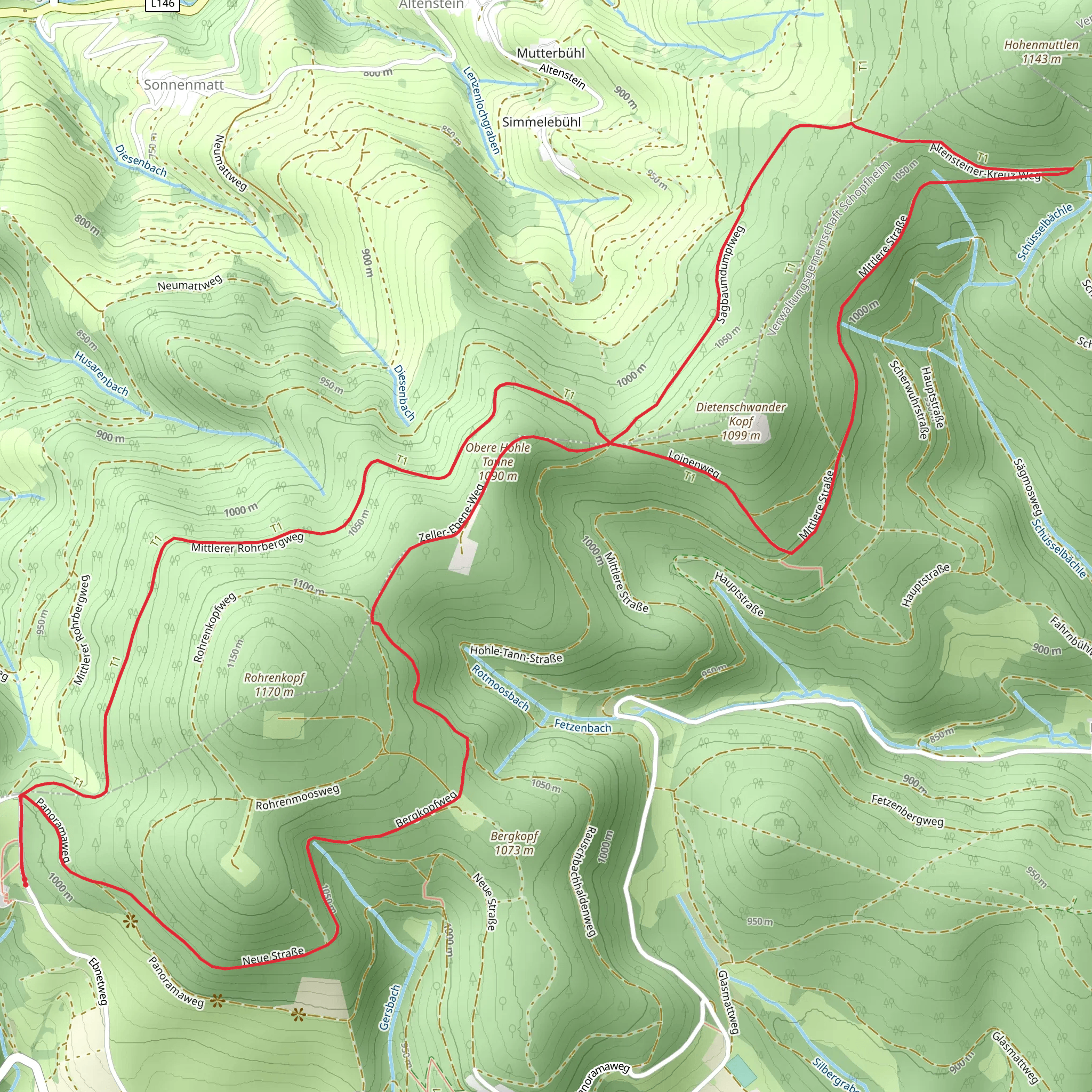 Obere Hohle Tanne via Westweg and Laipen Weg mobile static map