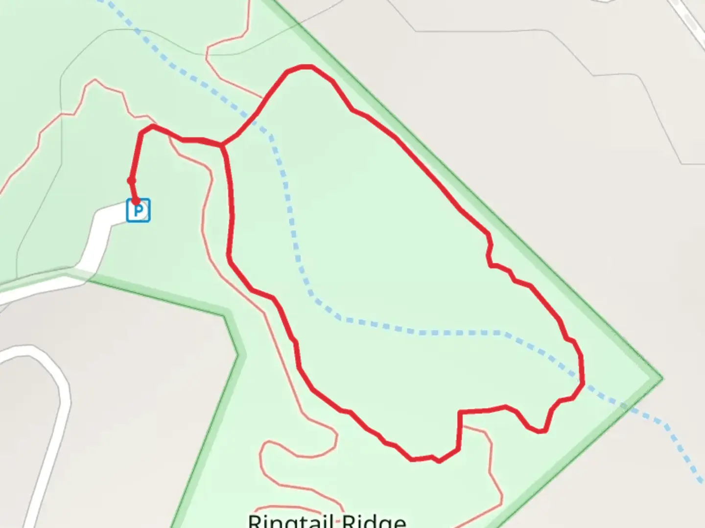 An image depicting the trail Ringtail Ridge Greenspace Access Road Loop and its surrounding area.