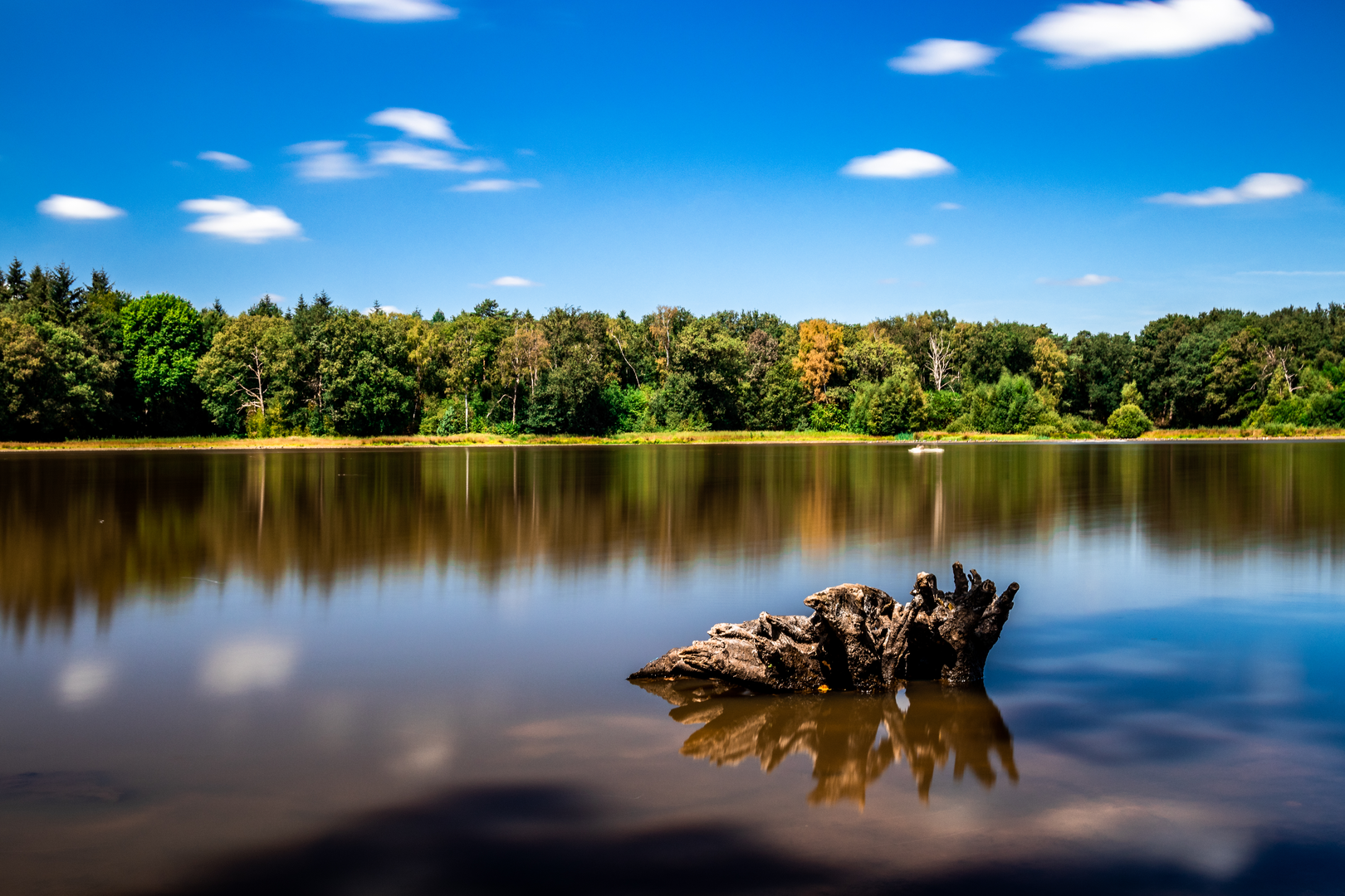 An image depicting the trail Jammerdaalsche, Vossendal and Groote Heide Loop and its surrounding area.