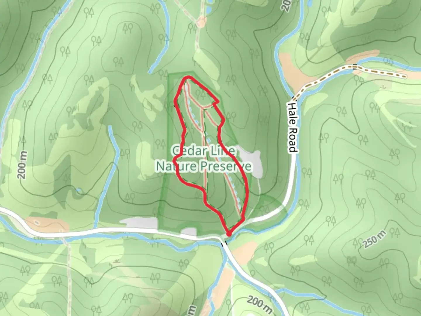 An image depicting the trail A Trail Loop from Hale Road and its surrounding area.