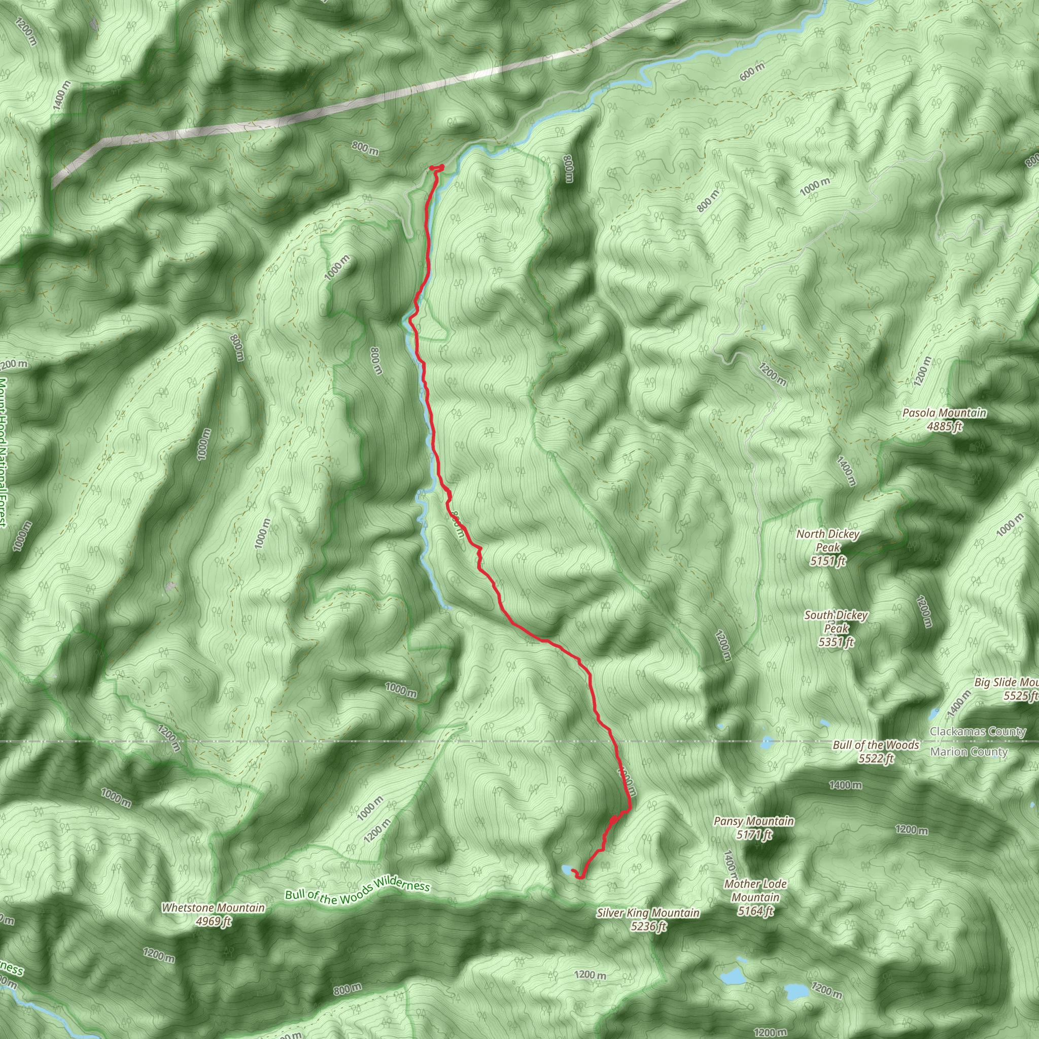 Silver King Lake via Bagby Trail mobile static map