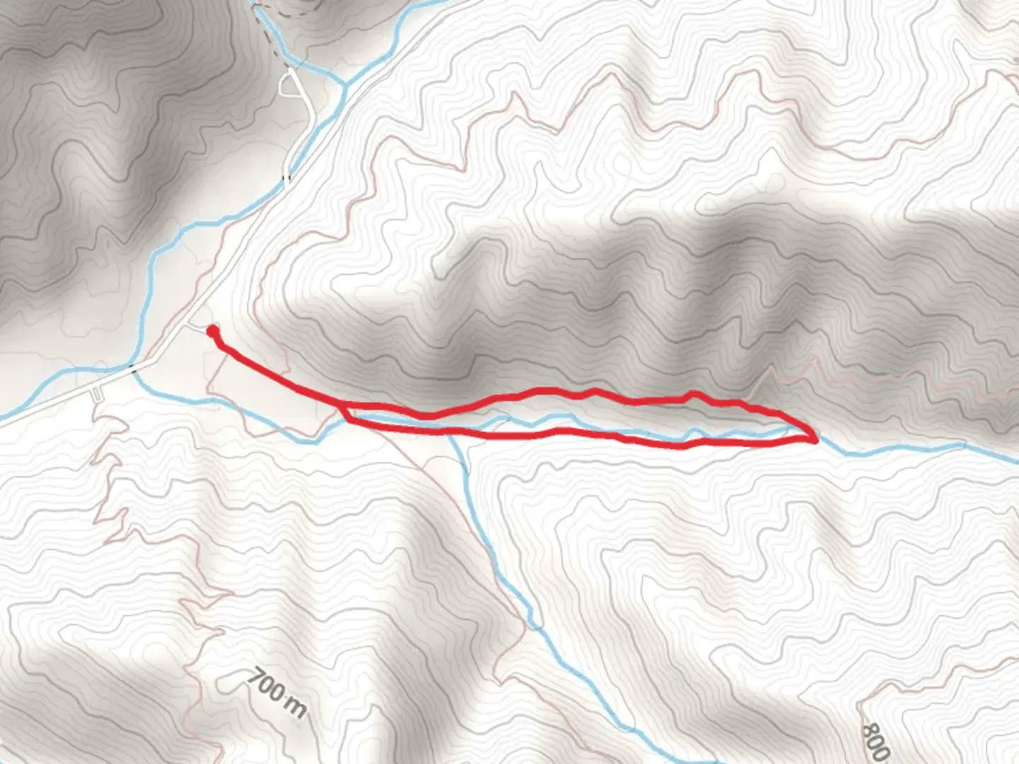 An image depicting the trail Judge Branch Loop and its surrounding area.
