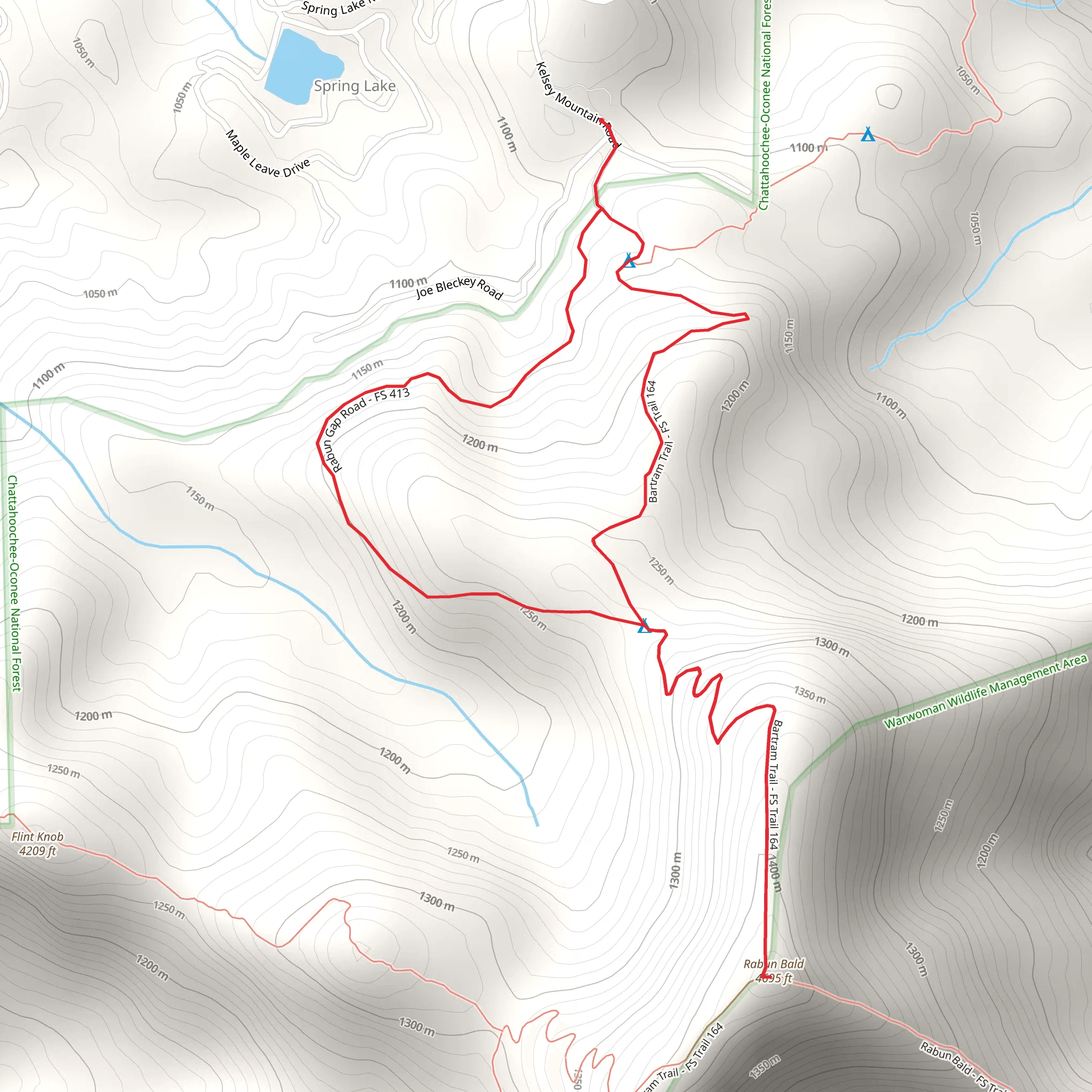 Rabun Bald via Bartram Trail Loop mobile static map