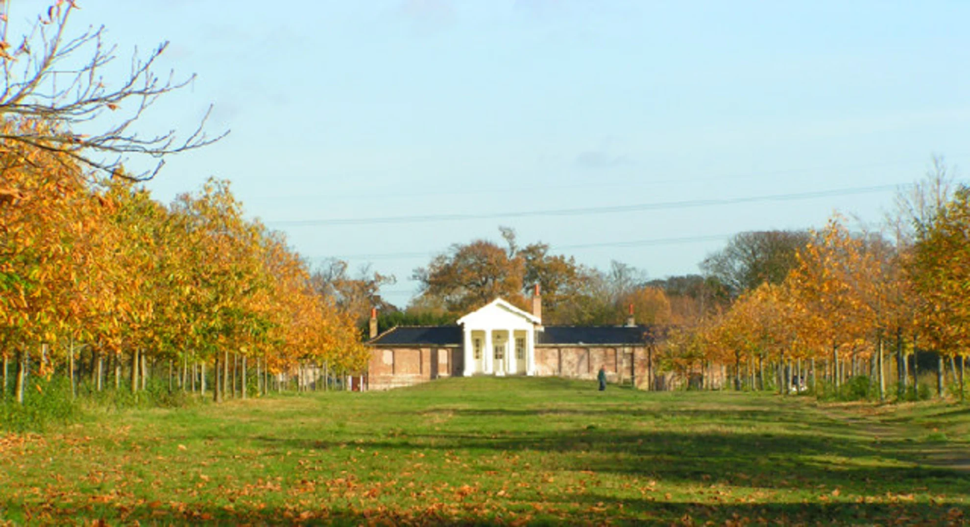 An image depicting the trail Wanstead Park Loop and its surrounding area.