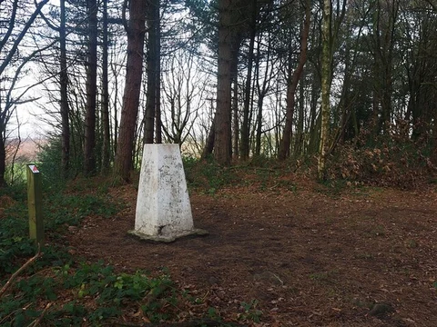 An image depicting the trail Greno Wood and Wheata Wood Loop and its surrounding area.