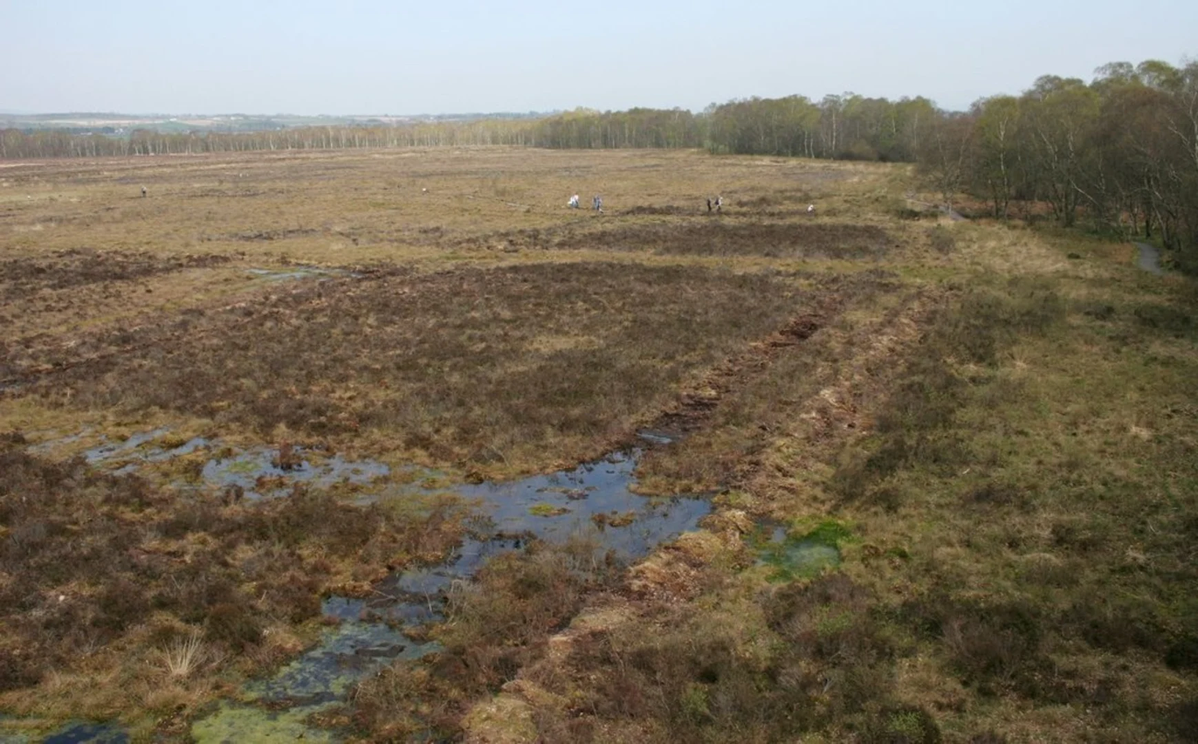 An image depicting the trail Flanders Moss Nature Reserve Loop and its surrounding area.