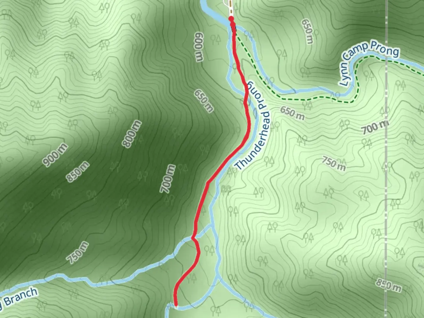 An image depicting the trail Thunderhead Prong Quiet Walkway and its surrounding area.