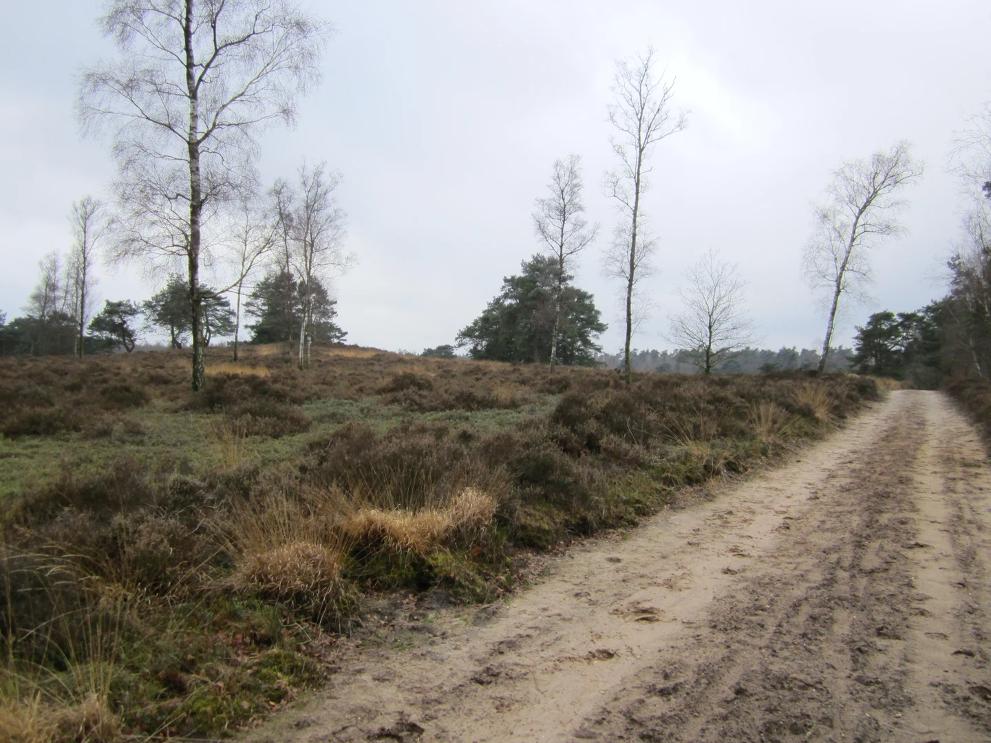 An image depicting the trail Viskwekerij and Galgenberg via Niersense Weg and its surrounding area.