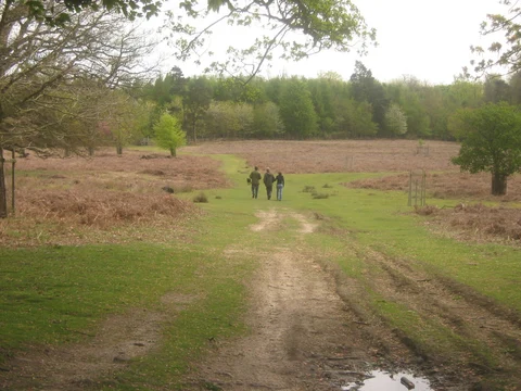 An image depicting the trail Mershan Loop and its surrounding area.