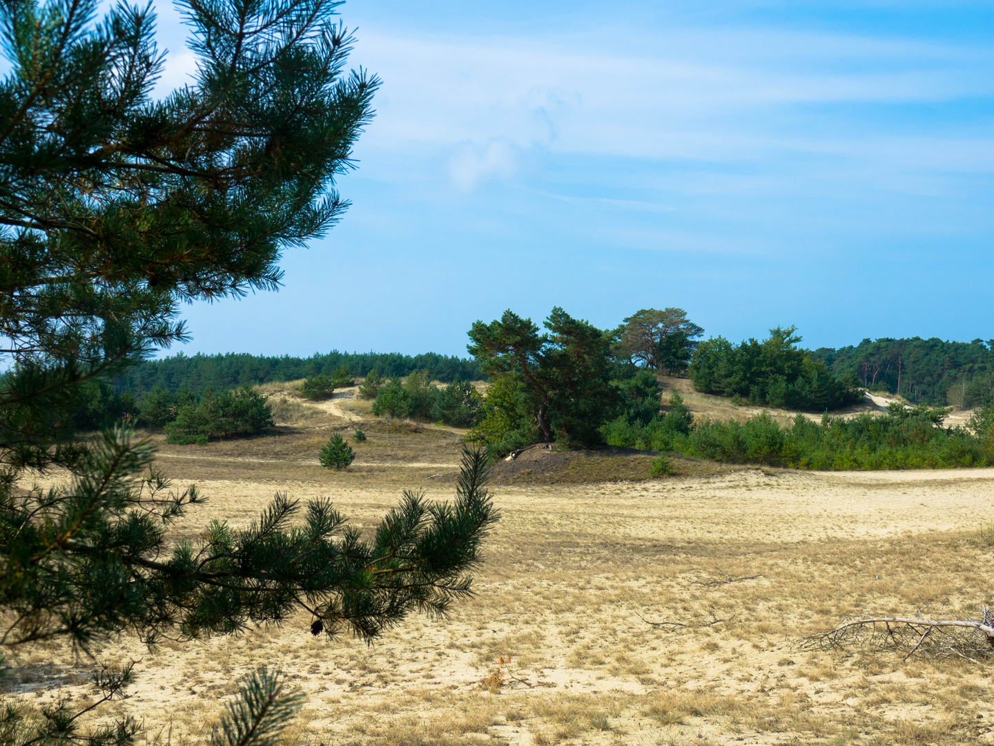 An image depicting the trail Turfberg, Elspeetsche Heide and Leuvenhorst via Turfbergpad and Poolseweg and its surrounding area.