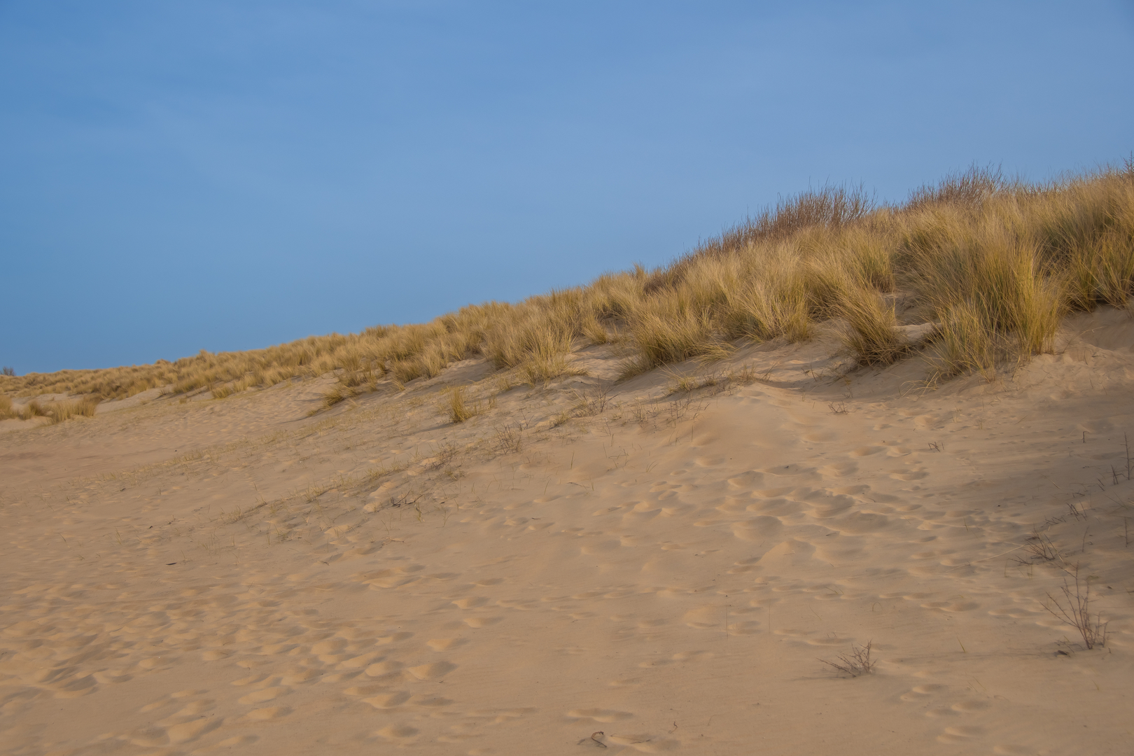 An image depicting the trail Papierenzolder, Breezand and Kaalkop Loop and its surrounding area.