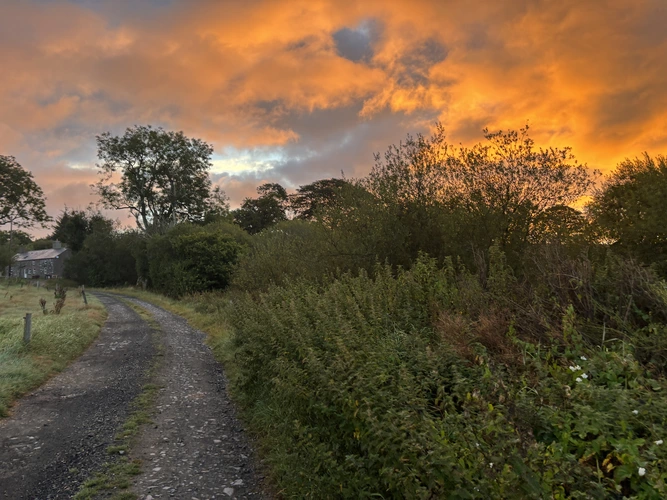 Hiraethog Trail - Stage 1 (Pentrefoelas to Llanfihangel Glyn Myfyr)