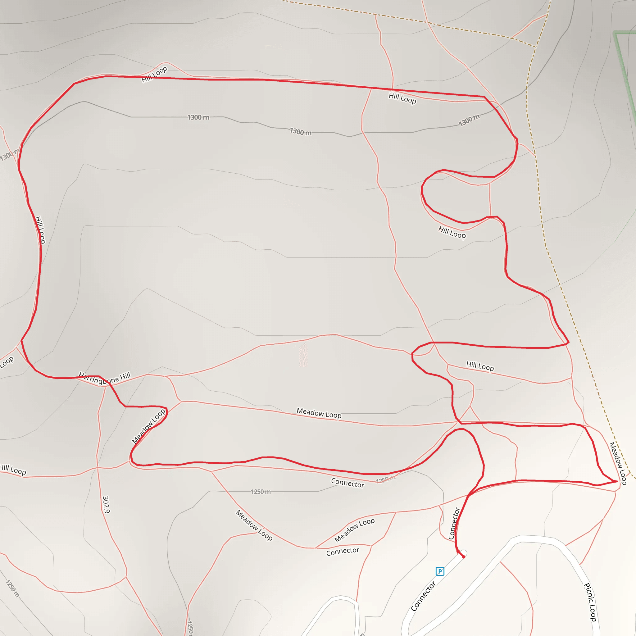 Pattee North - Meadow Loop Trail mobile static map