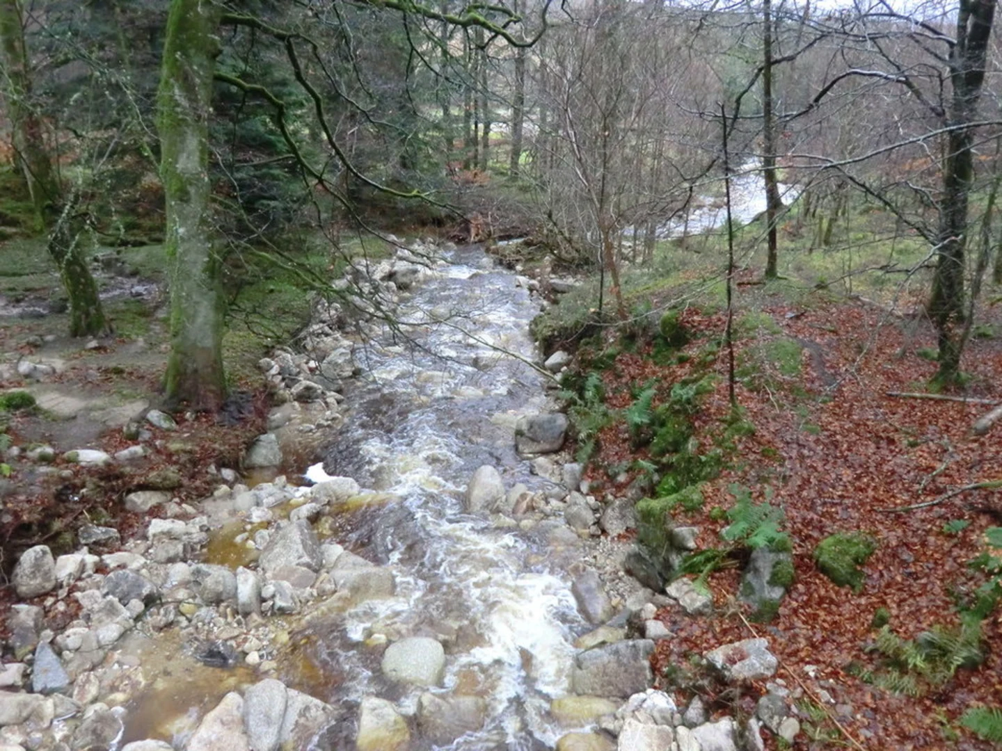 An image depicting the trail Dry Seefin Mountain and its surrounding area.