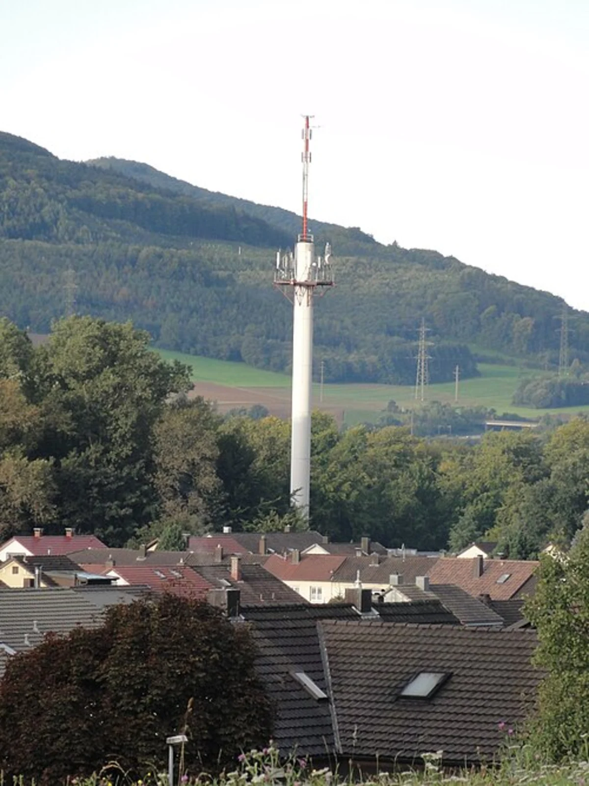 Odenwald Weg and Rundwanderweg Loop