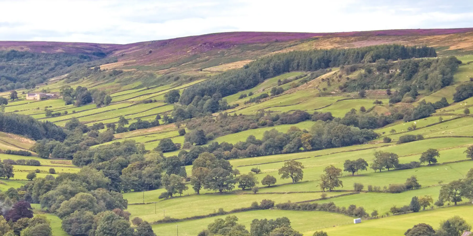 An image depicting the trail Rosedale Valley Circular from Little Blakey and its surrounding area.