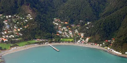 An image depicting the trail Korimako Road Track and its surrounding area.