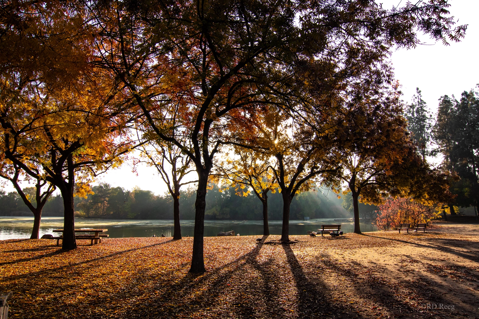 An image depicting the trail Woodward Park Loop and its surrounding area.
