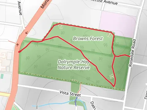 Browns Forest Loop Trail