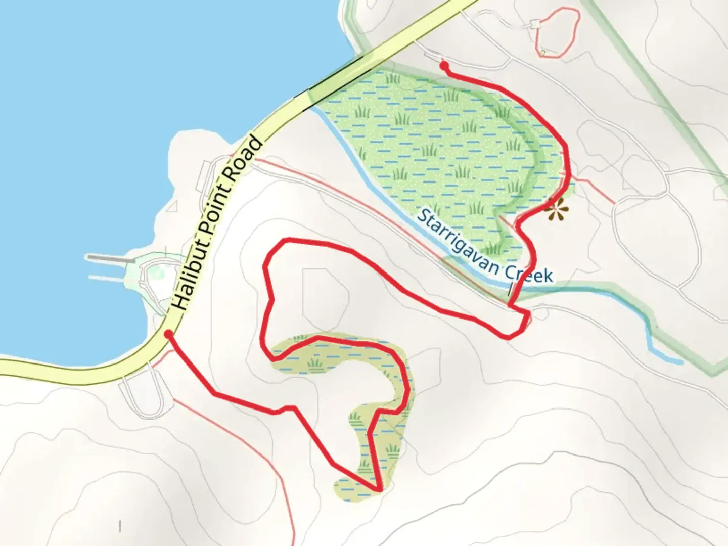 An image depicting the trail Starrigavan Estuary Life, Ben Grussendorf Forest & Muskeg Trail and its surrounding area.
