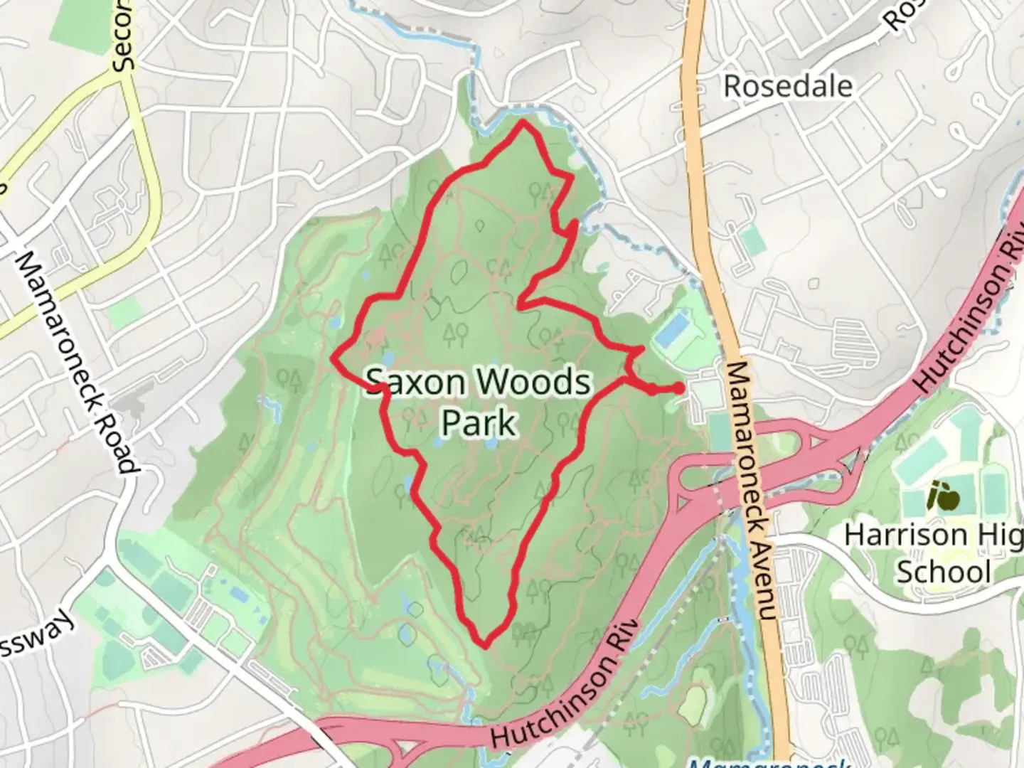 An image depicting the trail Saxon Woods Loop and its surrounding area.