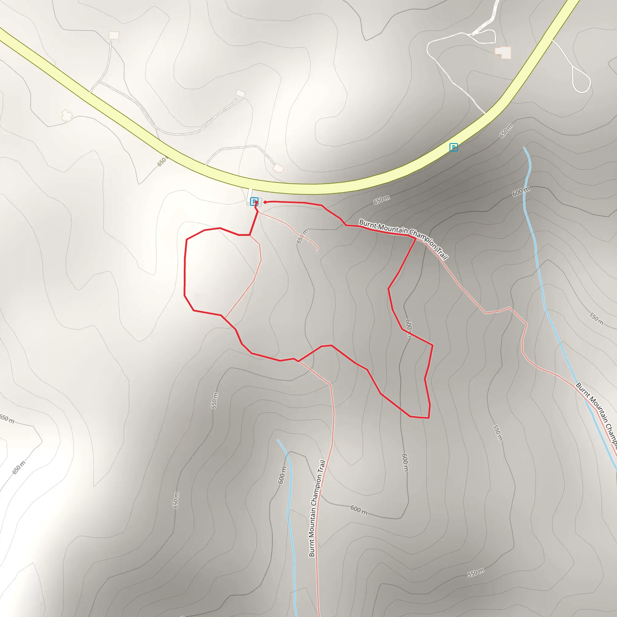 Burnt Mountain Champion Loop Trail mobile static map