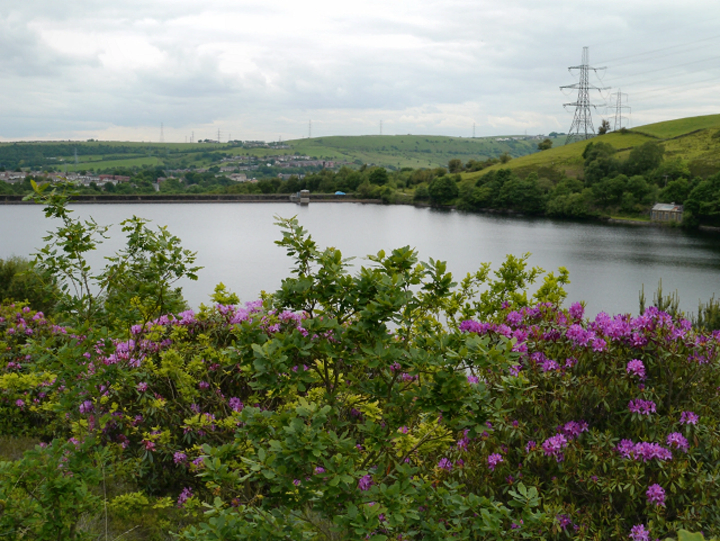 An image depicting the trail Walkerwood Reservoir Loop and its surrounding area.
