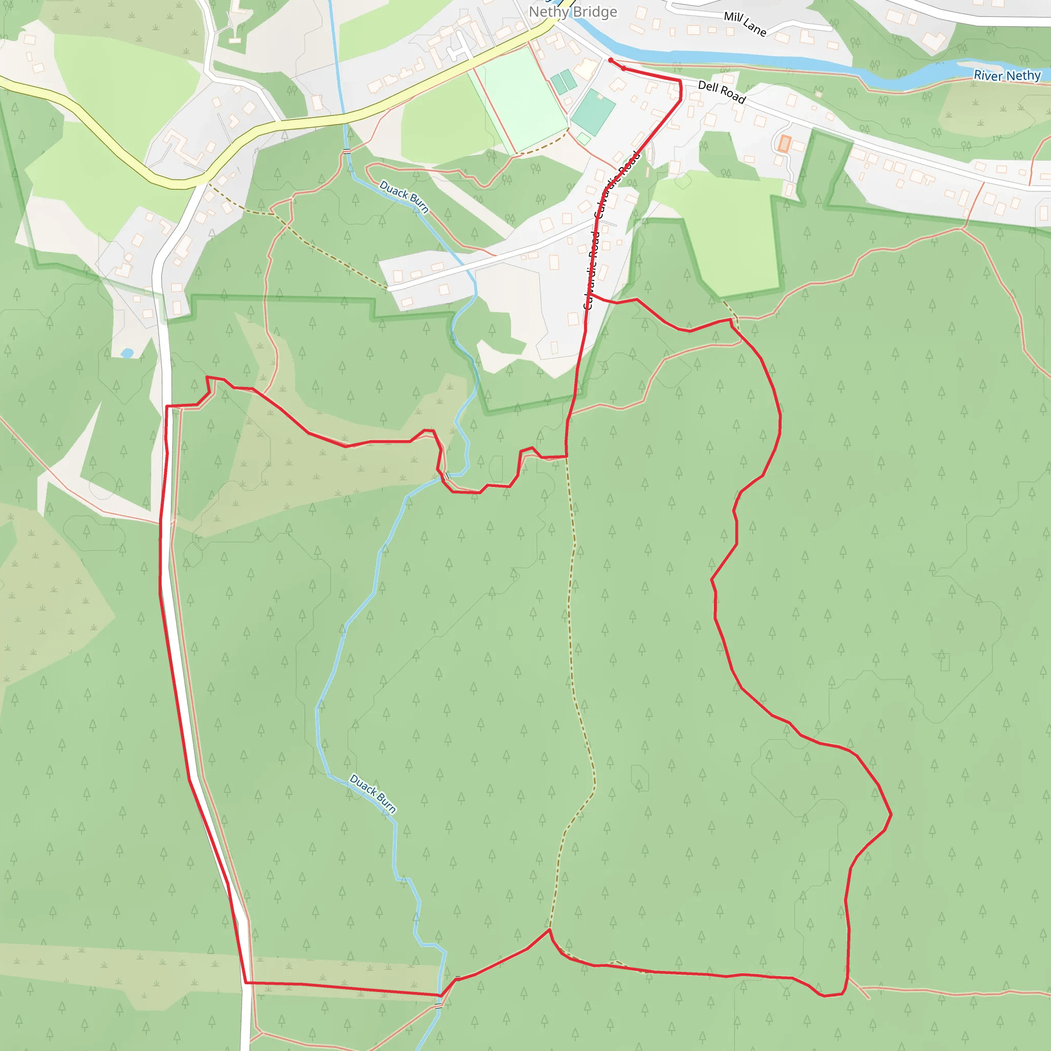 Nethy Bridge Path - Puggy Line Trail mobile static map