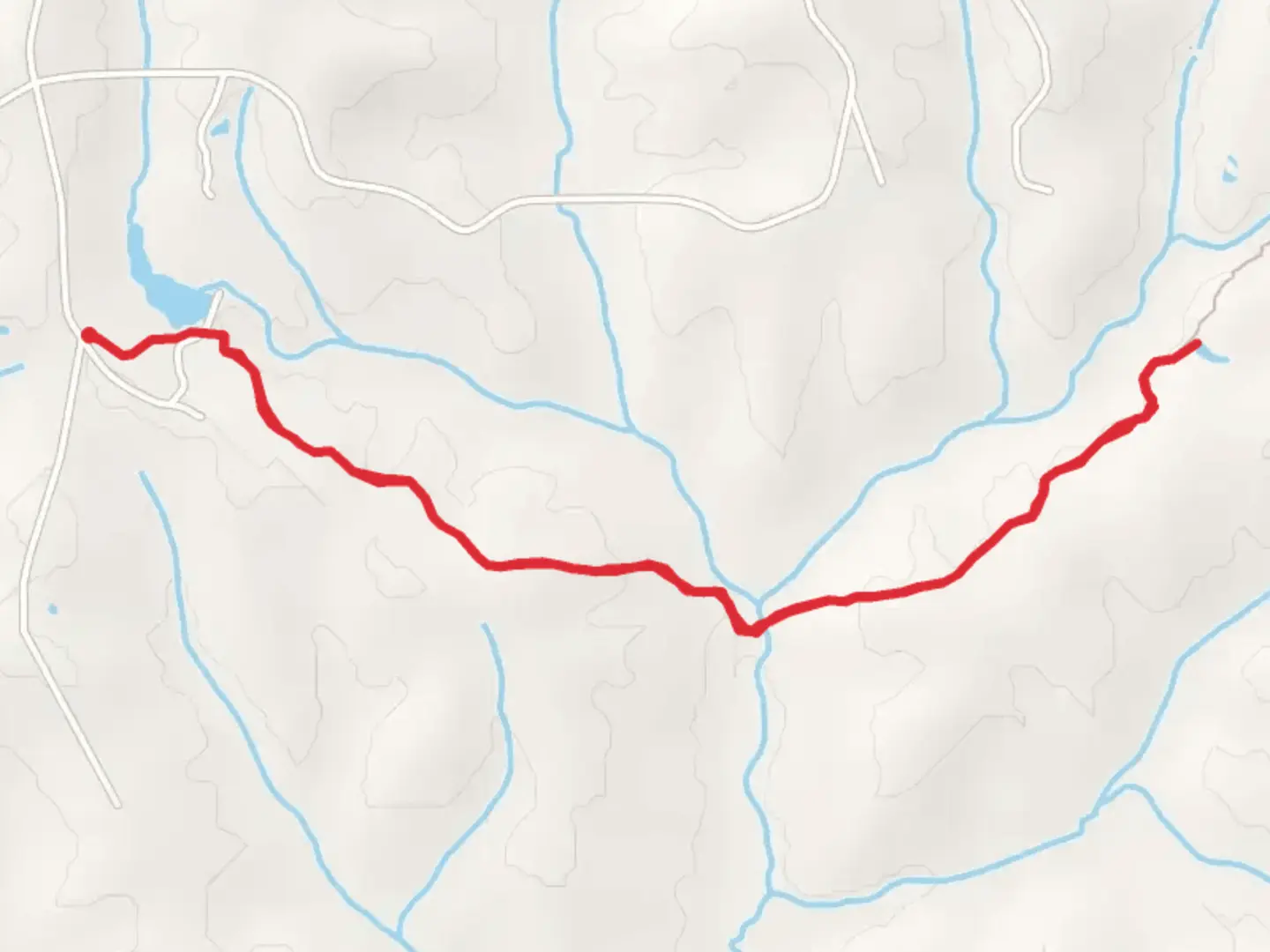 An image depicting the trail Big Branch Trail Out and Back and its surrounding area.