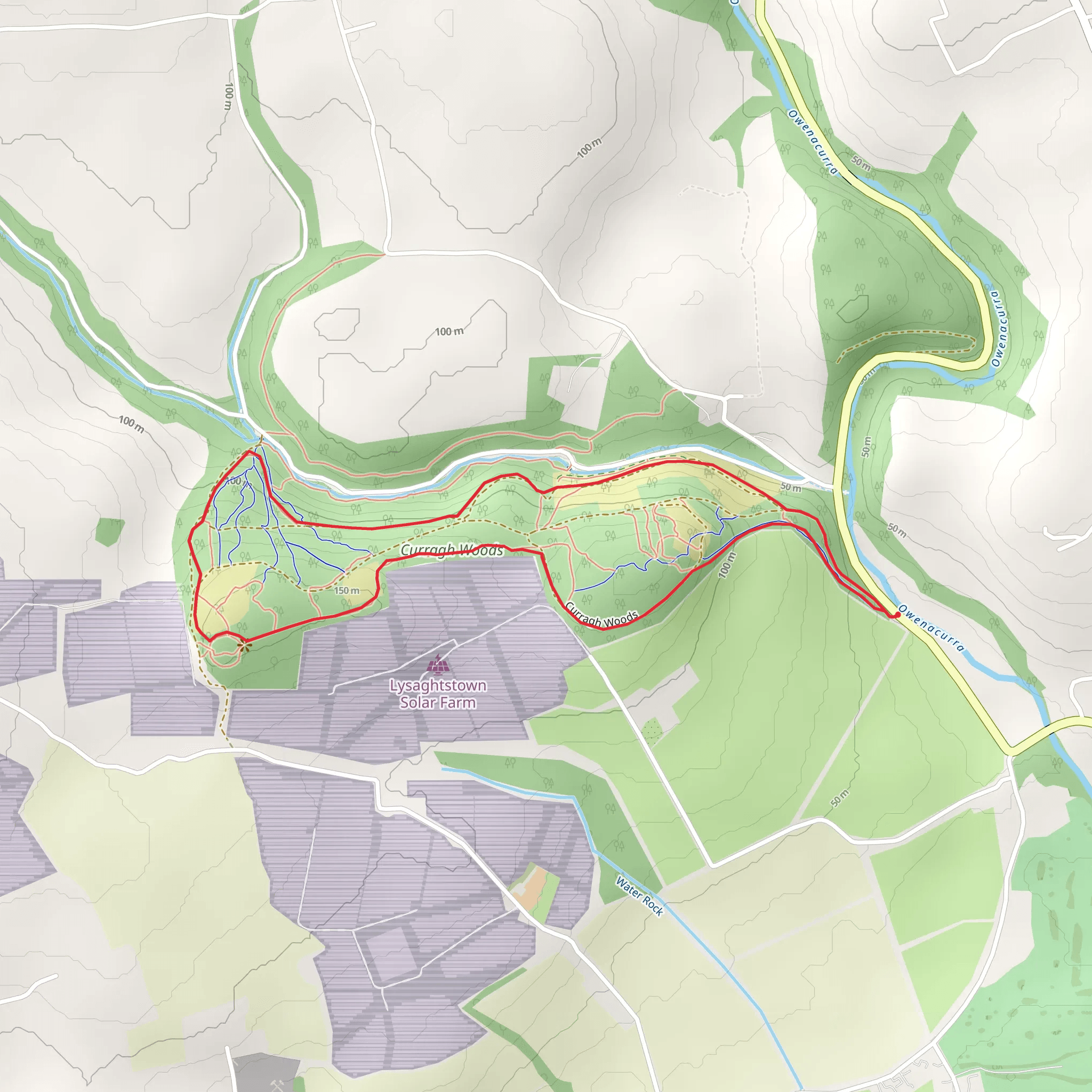 Curragh Woods Loop - Midleton mobile static map