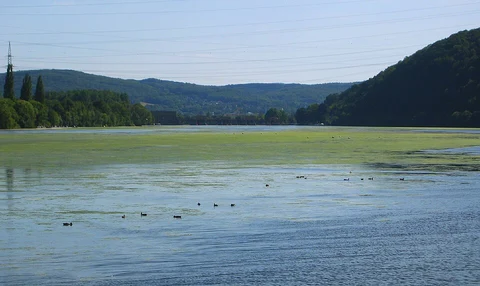 An image depicting the trail Camino Flensburg-Perl via Bremen and its surrounding area.