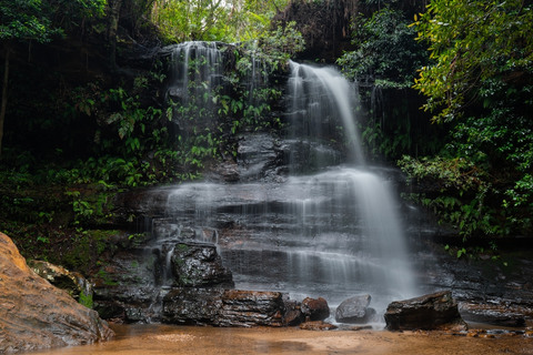 An image depicting the trail Federal Falls Walk and its surrounding area.