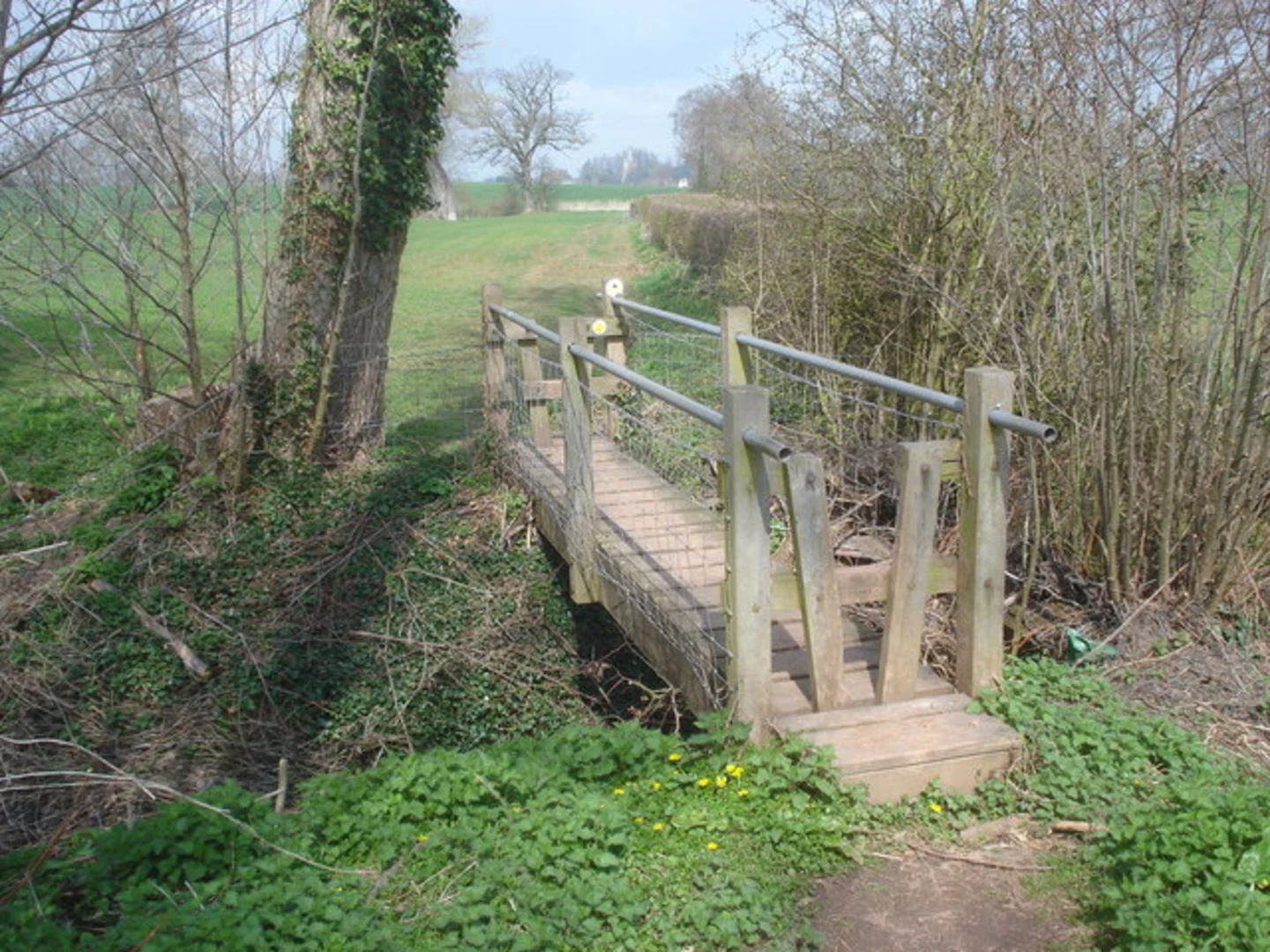An image depicting the trail Dymock Wood Circle and its surrounding area.
