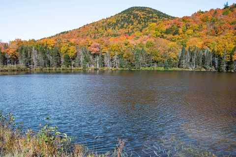 An image depicting the trail Avalon Trail and its surrounding area.