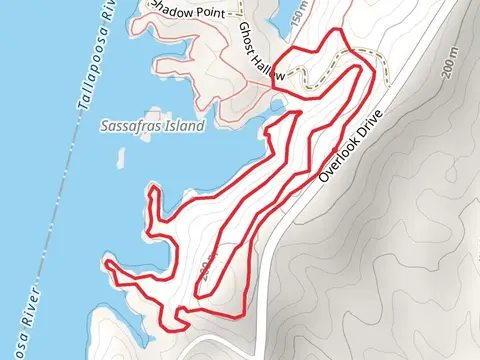 Loop Beside Martin Lake